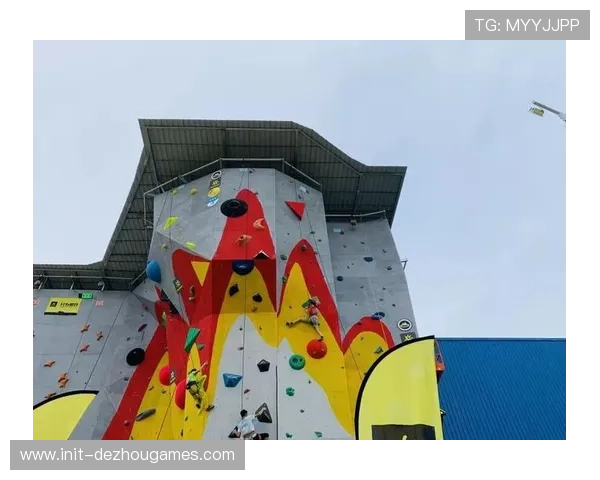 黄浦区青少年攀岩竞赛圆满落幕 卢湾一中心小学成绩斐然勇夺佳绩